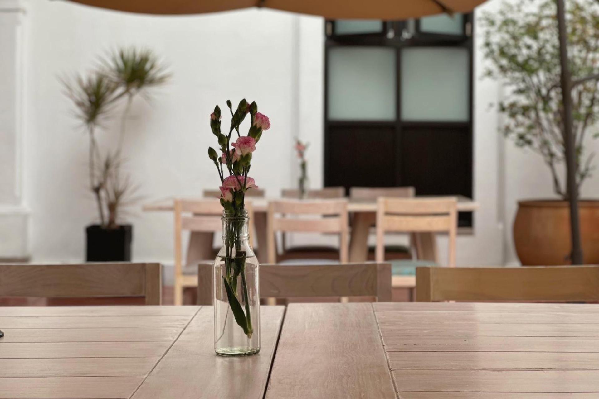 Hotel La Casa De Maria Oaxaca Екстериор снимка